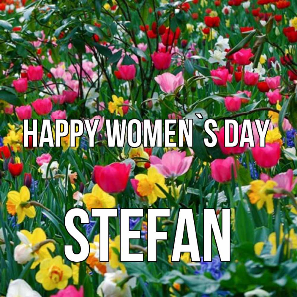 Greetings card с именем, Stefan happy women`s day с международным женским днем поздравления для женщины Greetings with text for free download 